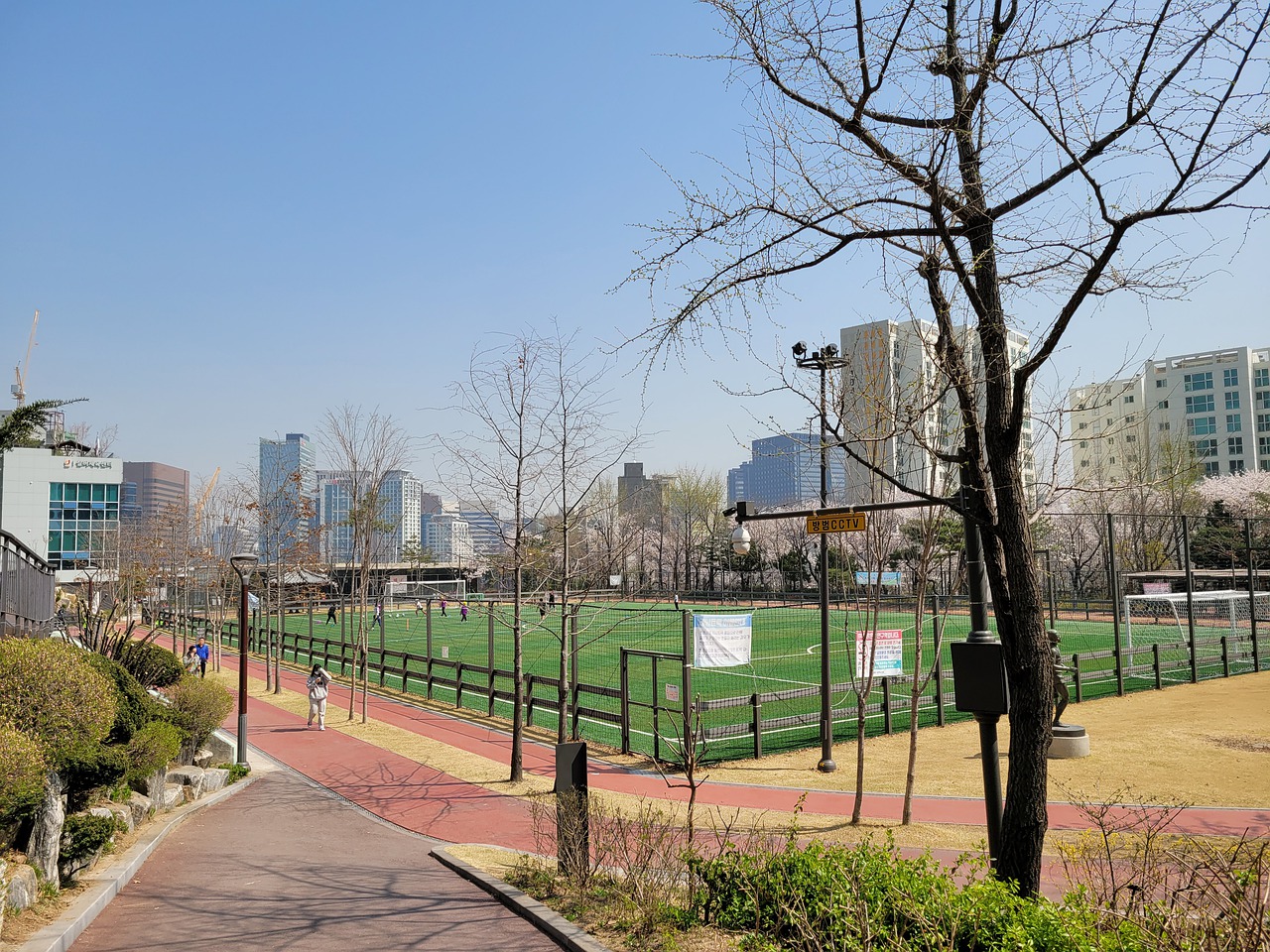 仅展现了两