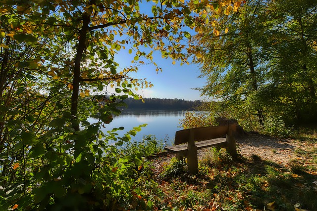 切尔西将不 切尔西将不