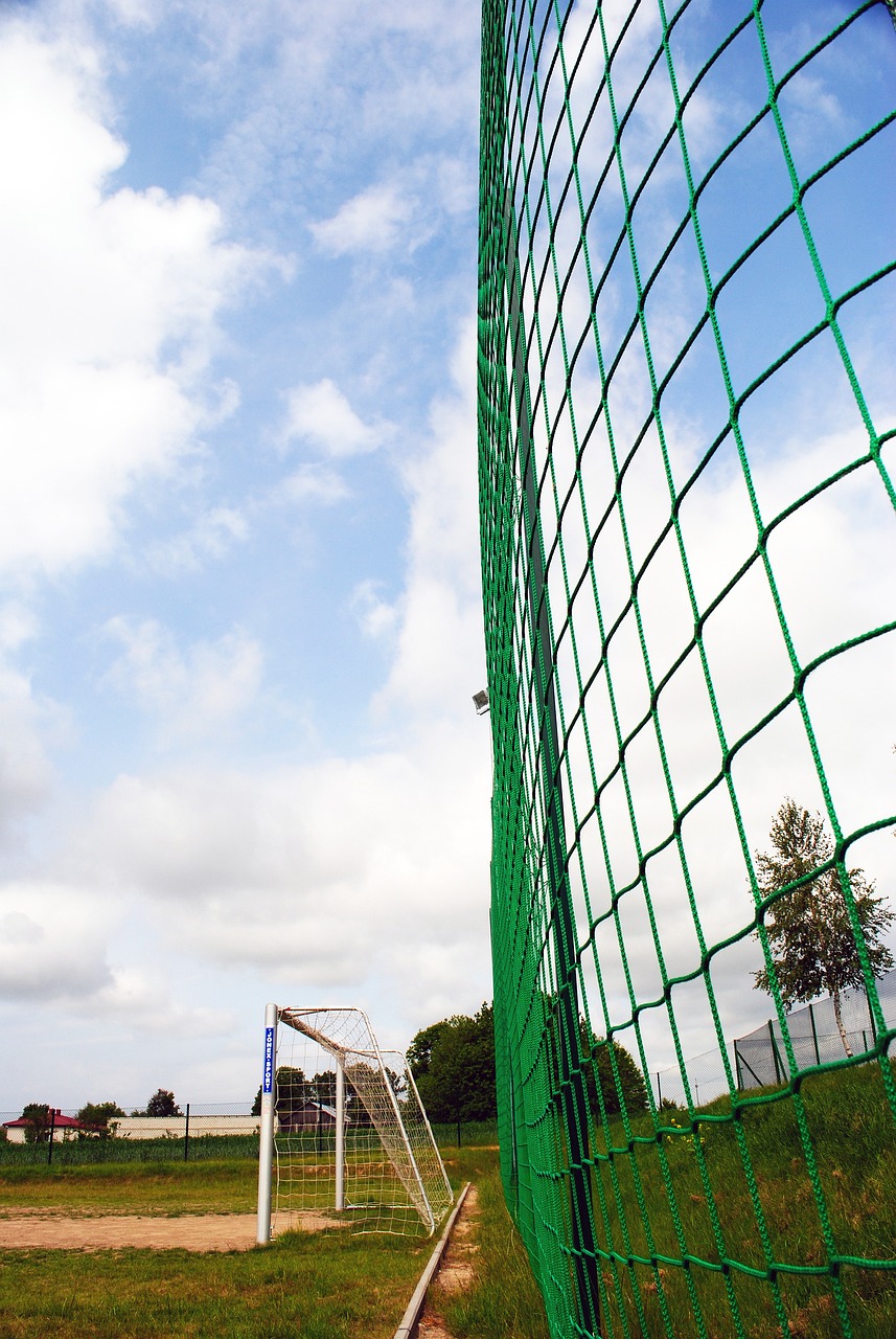 他展示了超 他展示了超