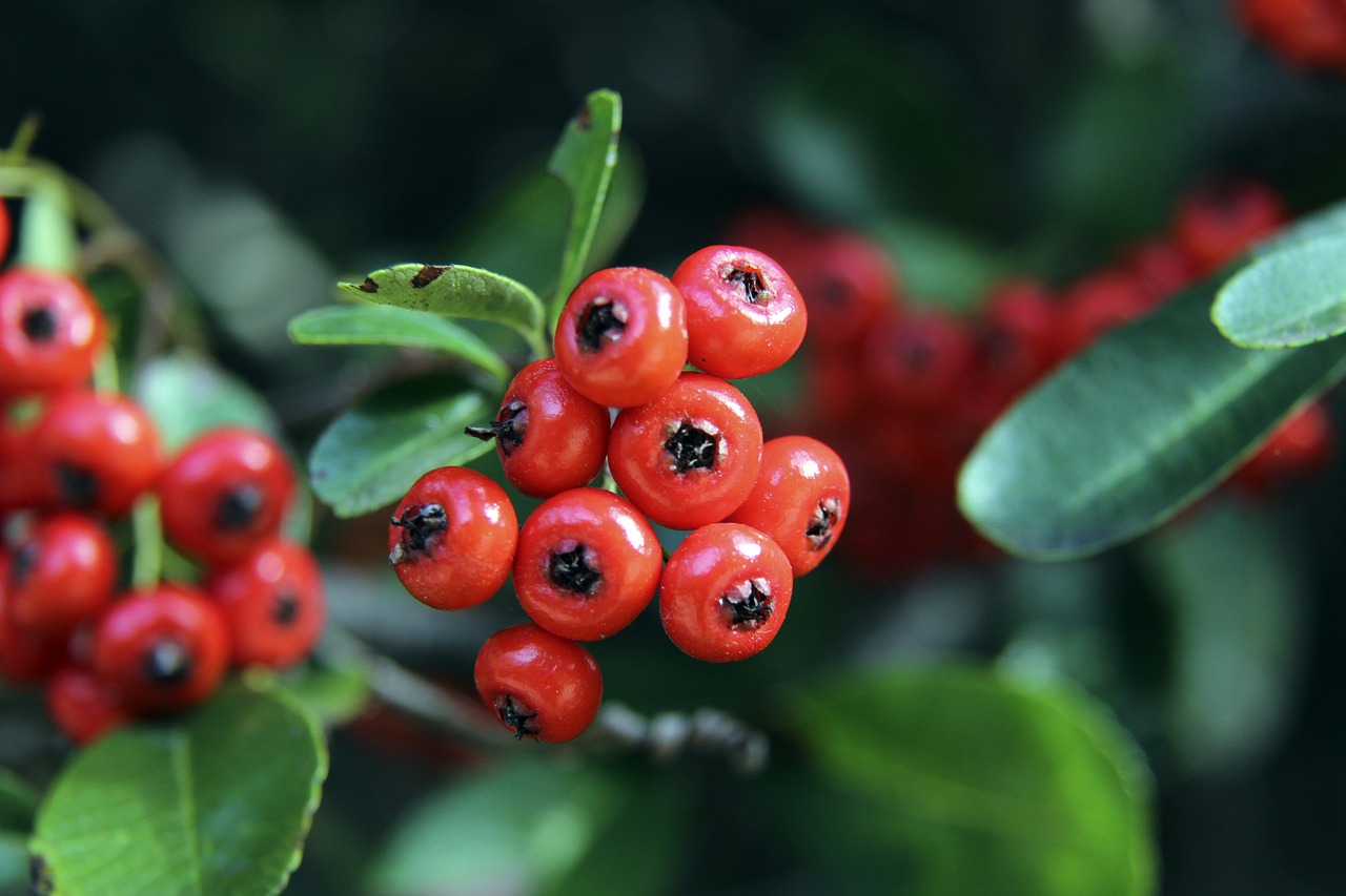 这样的技术 这样的技术