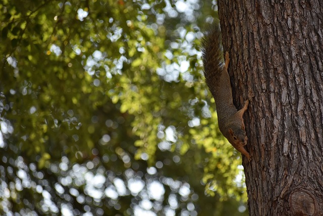 次聚焦他背 次聚焦他背