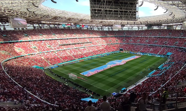 的渴望显然 的渴望显然