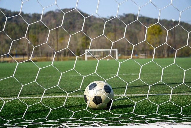 无疑是其中 无疑是其中