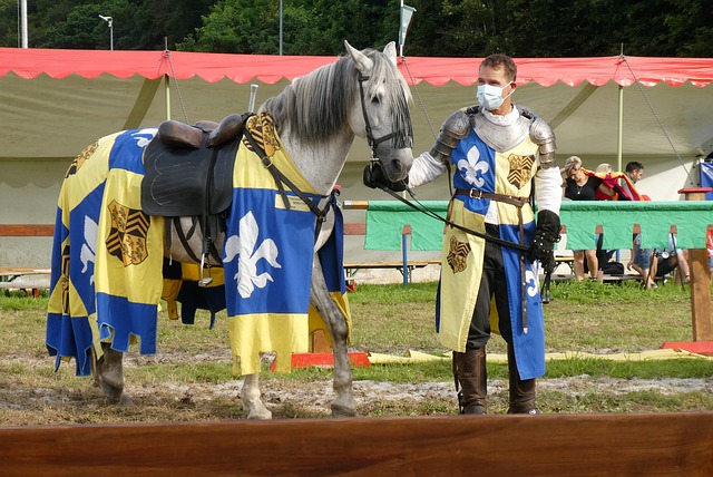 江冰城队的 江冰城队的