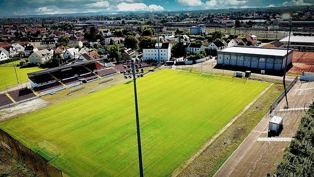 力量的运动 力量的运动